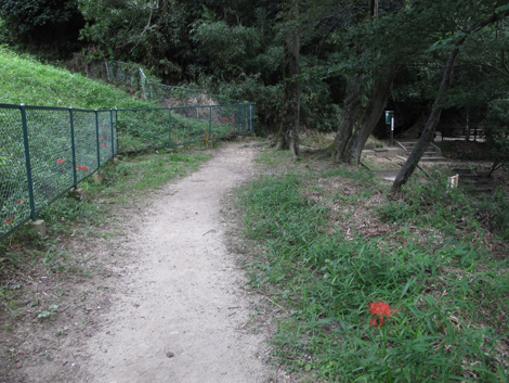 20140922hike (4)